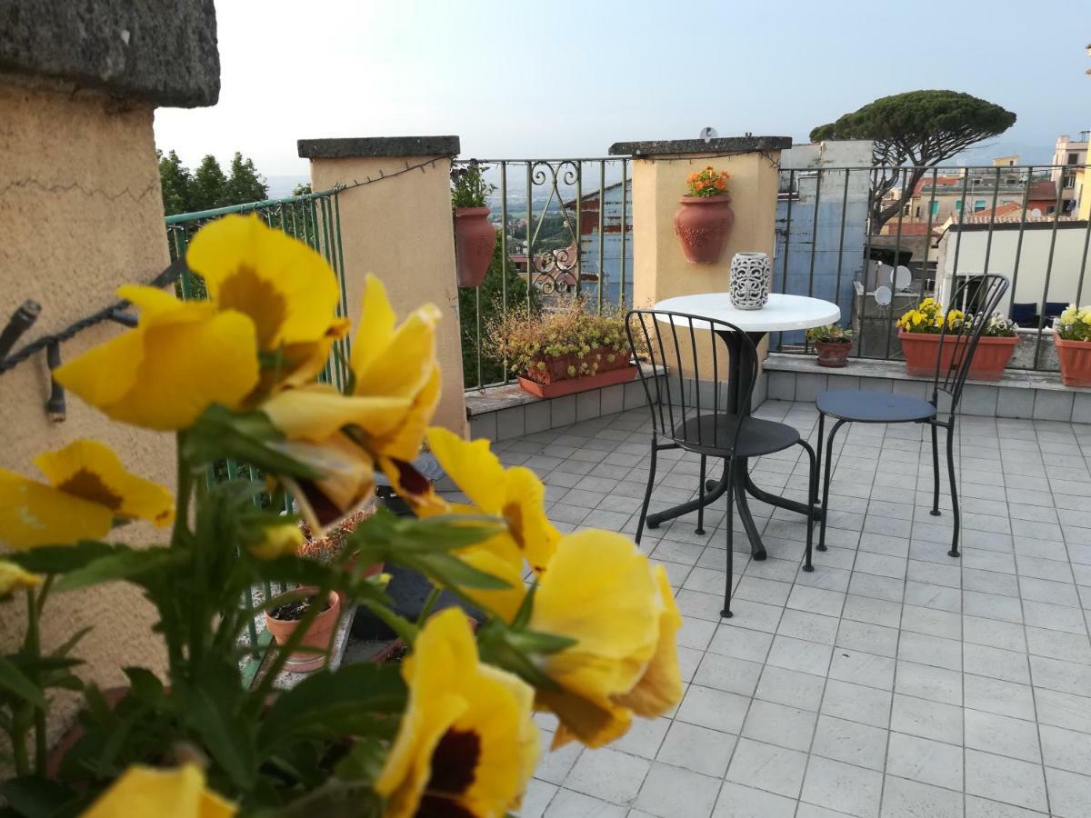 B&B Buonfiglio Cicconcelli - Terrazza Panoramica Frascati Dış mekan fotoğraf